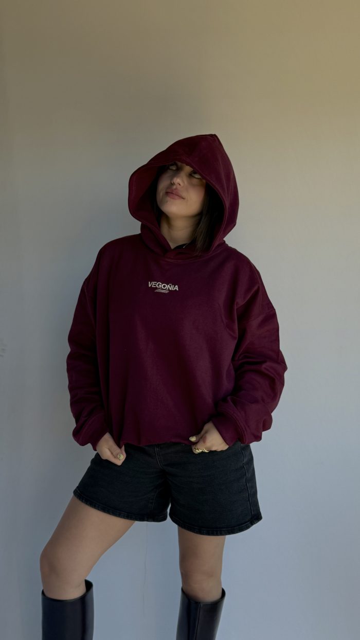 COOLORS HOODIE BEGO - Imagen 4