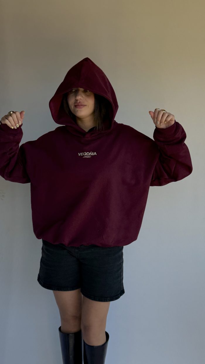 COOLORS HOODIE BEGO - Imagen 2