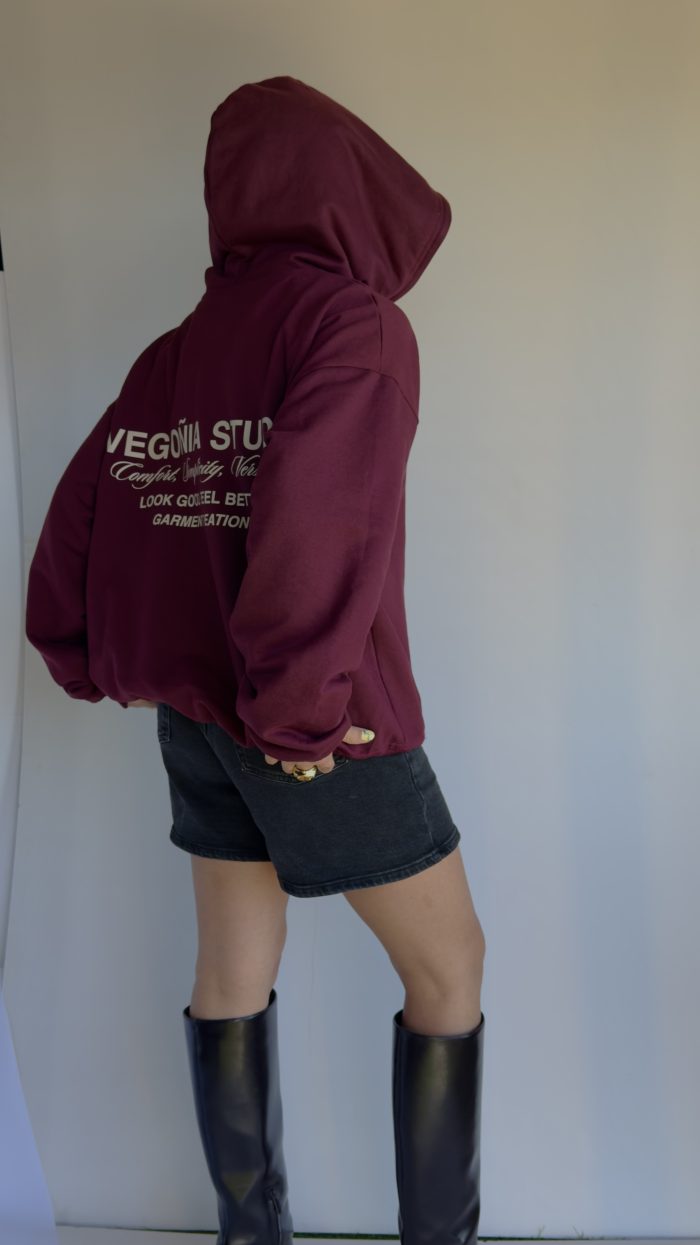 COOLORS HOODIE BEGO